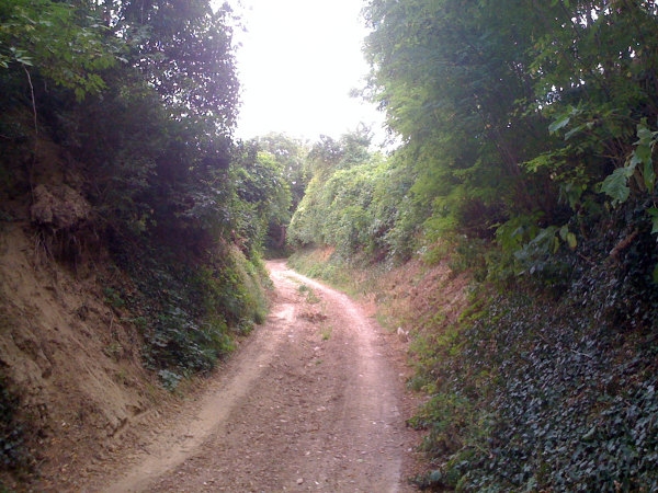 GeoCaching: Vor rund 40 Mio Jahren Hohlweg (geocache_40miojahre_hohlweg.jpg, 600x450, 236132 Byte)