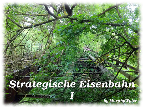 GeoCaching: Strategische Eisenbahn I (geocache_strategischeeisenbahn1.jpg, 600x450, 100551 Byte)